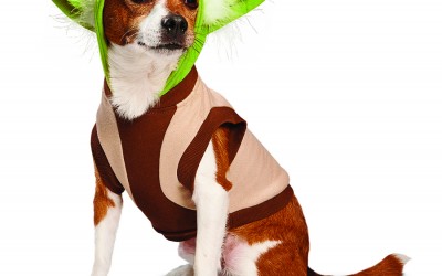 Star Wars theme stuff for pets! Yes, Fido, there is a Santa Claus