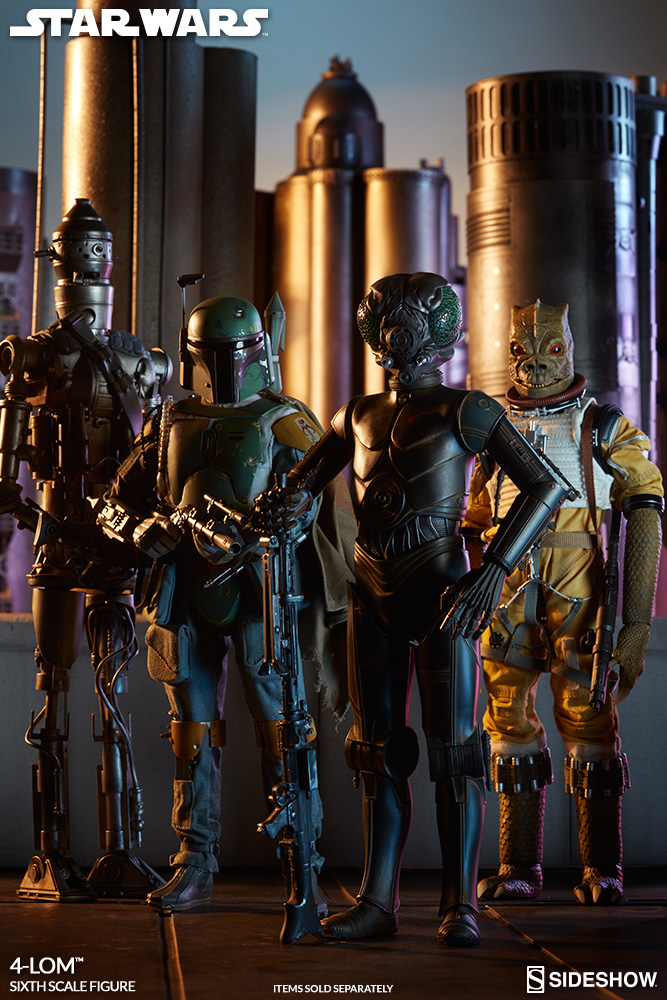 4-LOM-Sixth-Scale-Figure-1