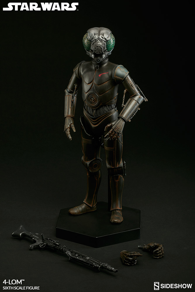 4-LOM-Sixth-Scale-Figure-5