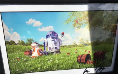 What if BB-8 and R2-D2 were in a field of daisies?