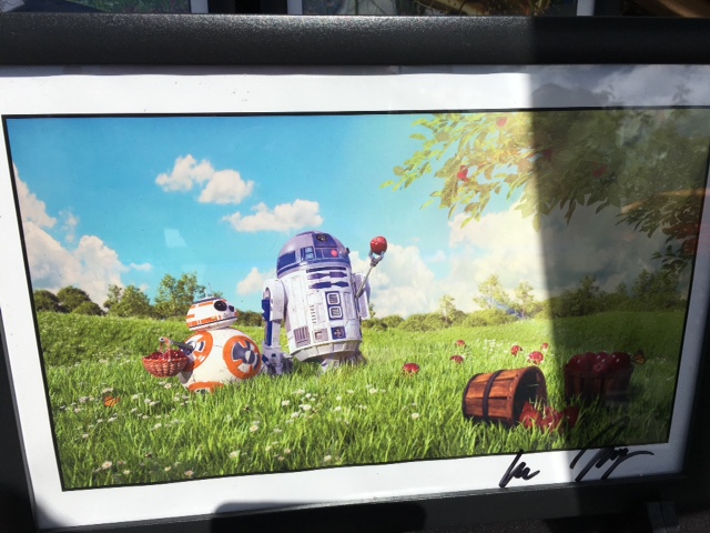 What if BB-8 and R2-D2 were in a field of daisies?