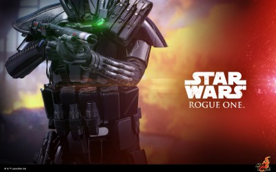 New 1/6th scale Action Figure of Imperial Deathtrooper from Hot Toys coming soon!