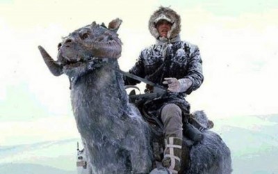 New Exclusive Funko Pop! Empire Strikes Back Han Solo on Tauntaun bobble head toy revealed