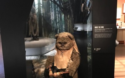 Star Wars Costume Spotlight: Wicket the Ewok