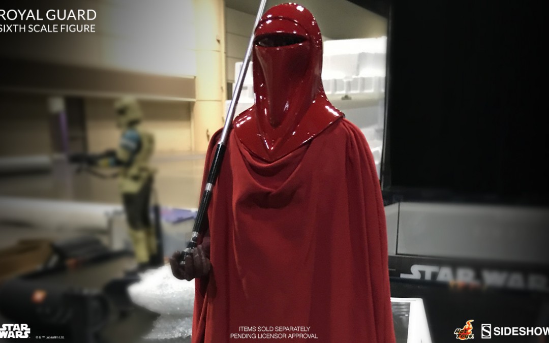 New 1/6th scale Figure of Imperial Royal Guard from Hot Toys coming soon!