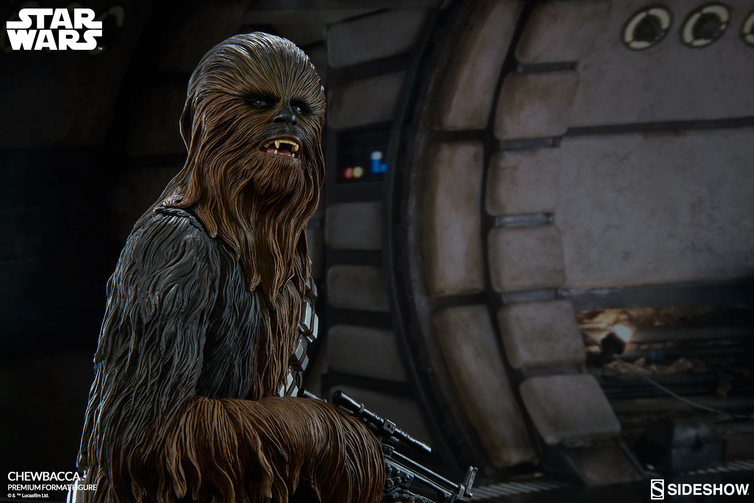 Chewbacca-PFF-05