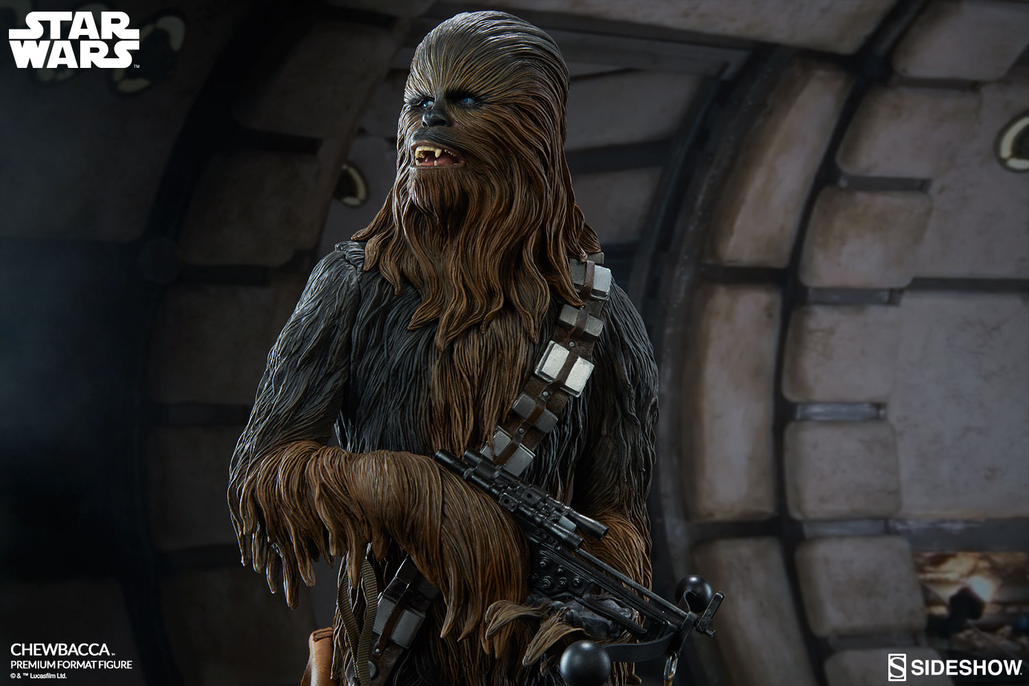 Chewbacca-PFF-06