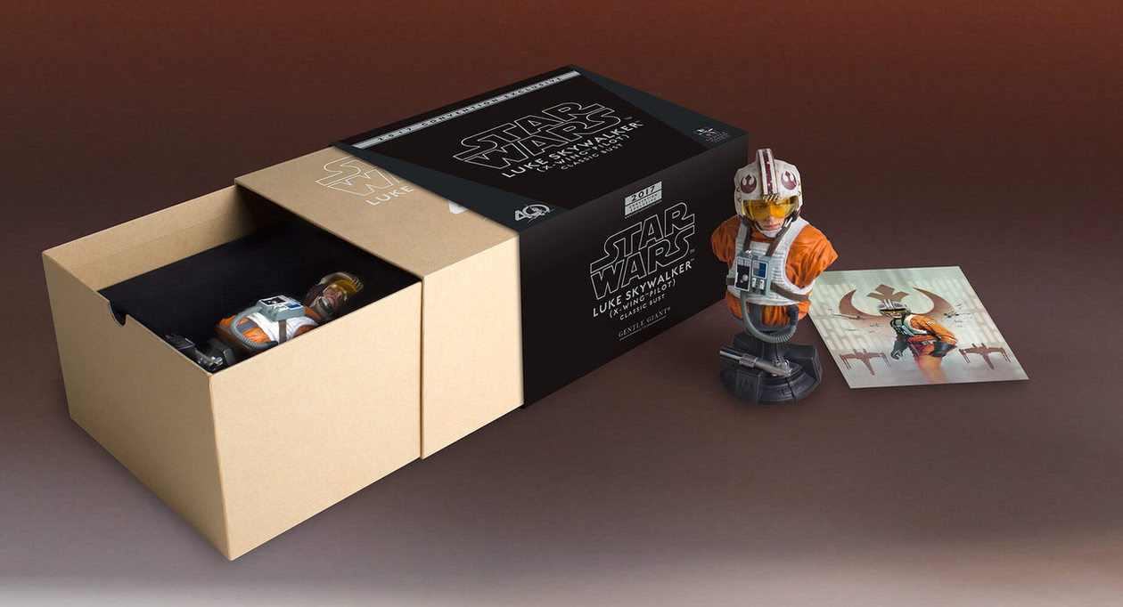 ANH Luke Skywalker Mini Bust 4