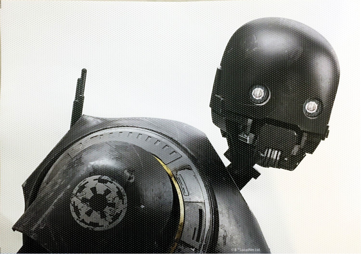 RO K-2SO Passenger Vinyl Window Decal