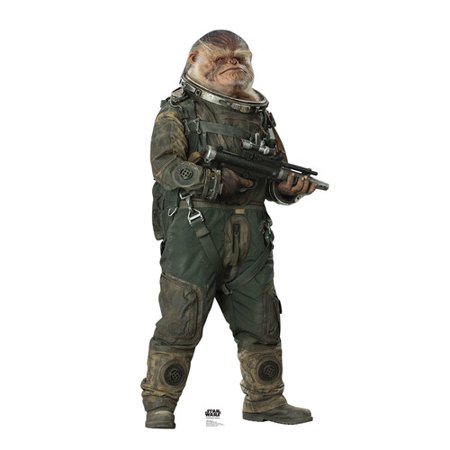 RO Bistan Cardboard Standee
