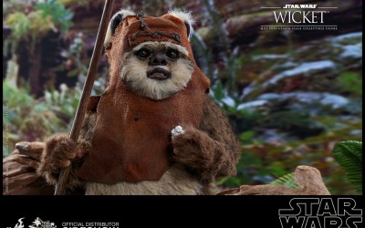 New Return of the Jedi Wicket 1/6th Scale Figure available for pre-order!