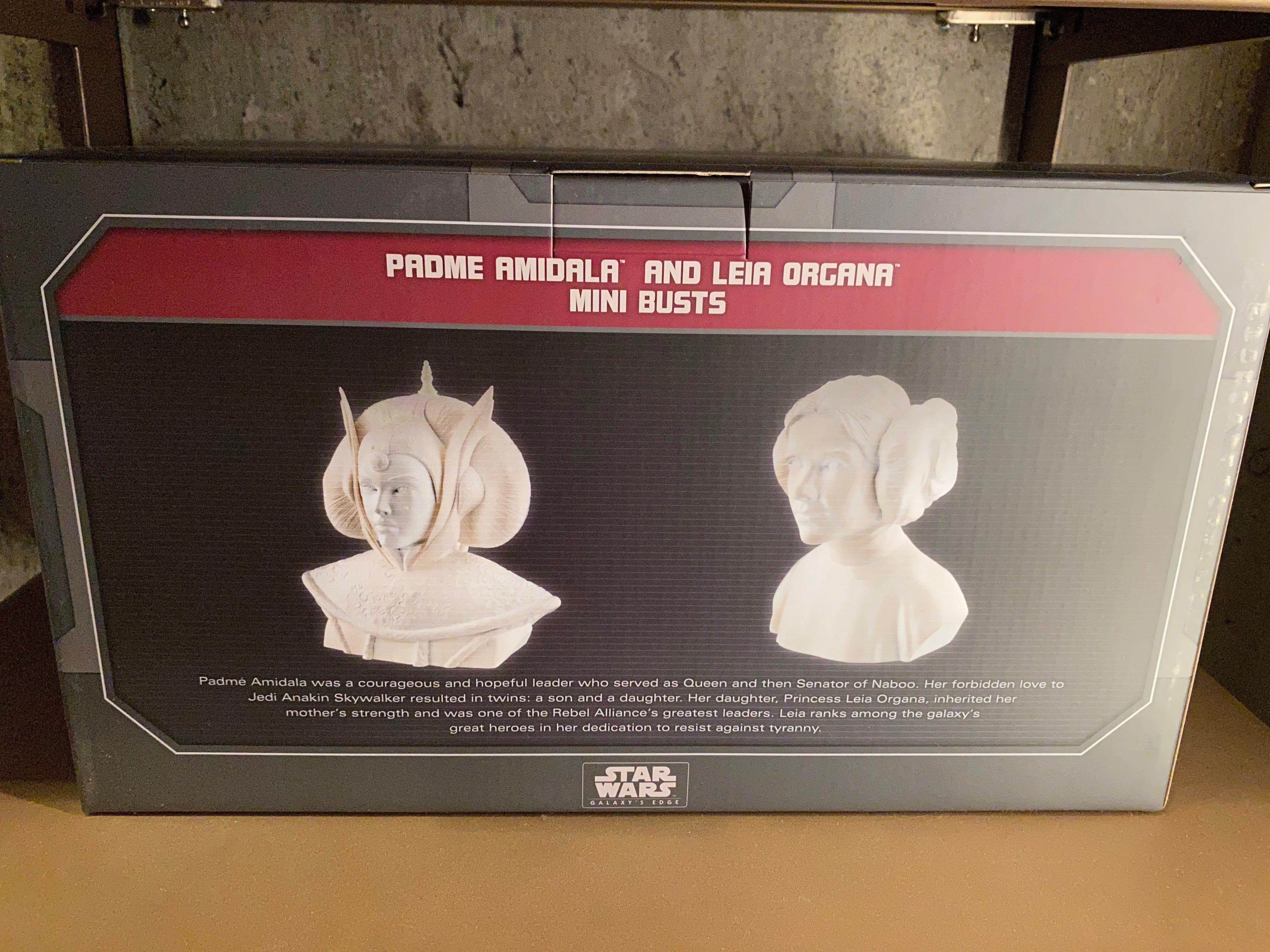 SWGE Padme Amidala & Leia Organa Mini Busts 3