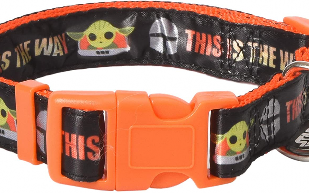 New The Mandalorian This is the Way Dog Collar available now!