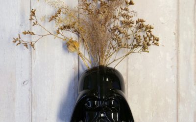 New Star Wars Darth Vader Shaped Wall Vase available now!