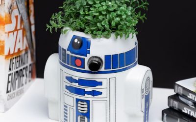New Star Wars R2-D2 Pen and Plant Pot available for pre-order!
