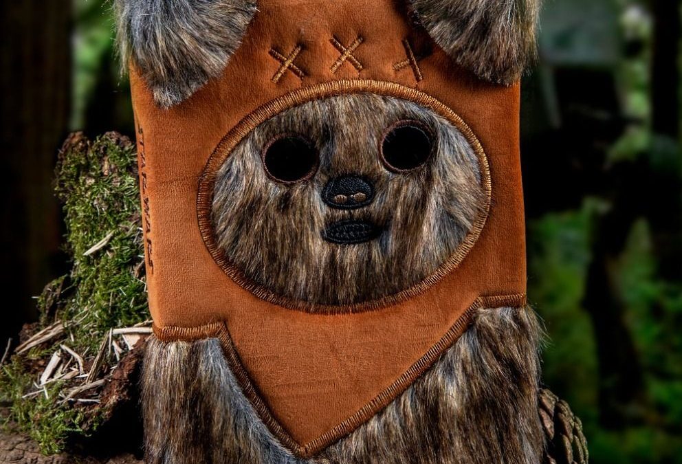 New Star Wars Forest Moon Ewok A5 Furry Notebook available now!