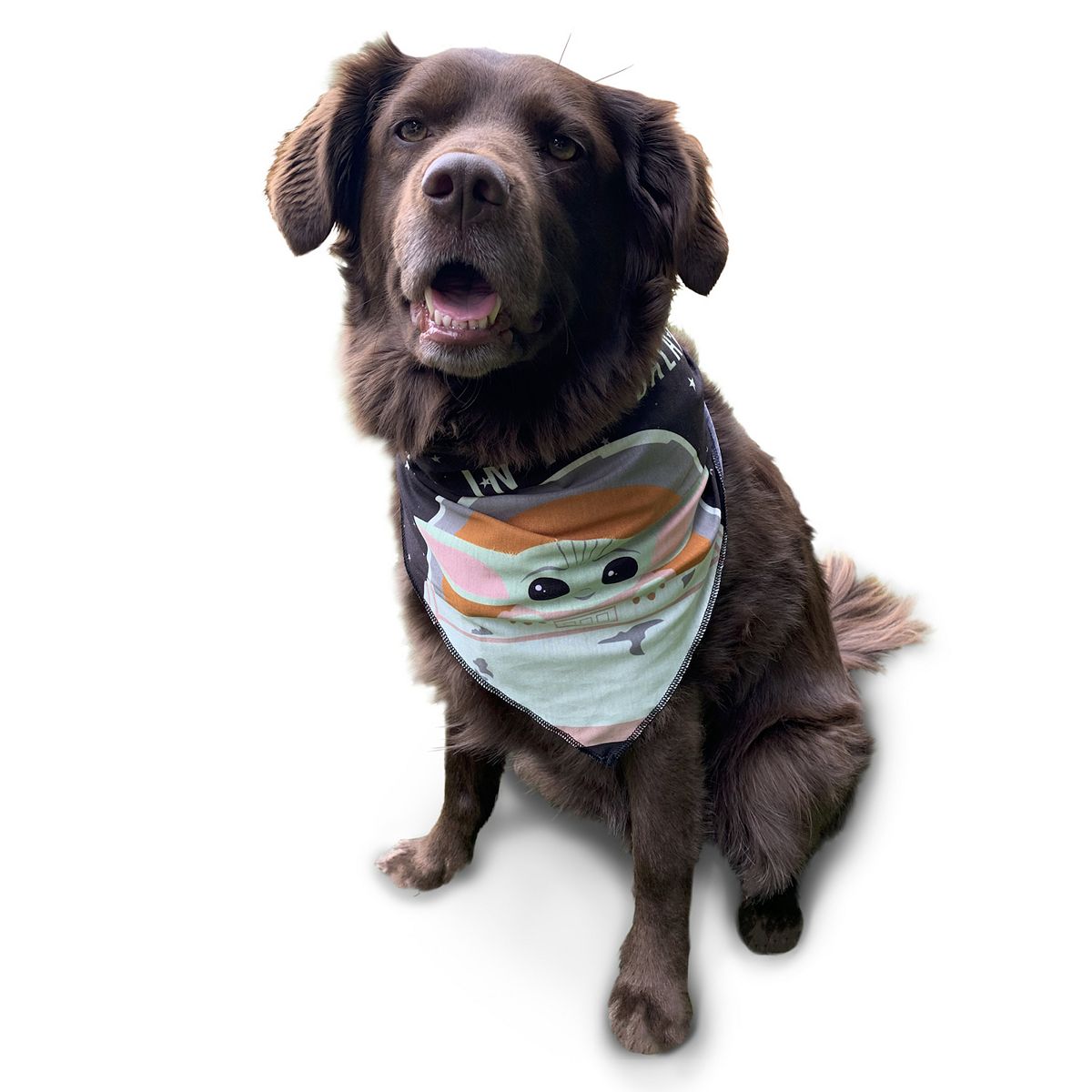 TM The Child (Gorgu) Bandana 2