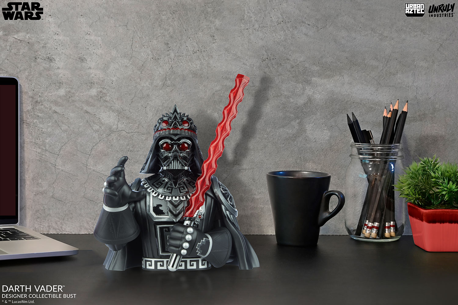 SW Darth Vader Designer Collectible Bust 3