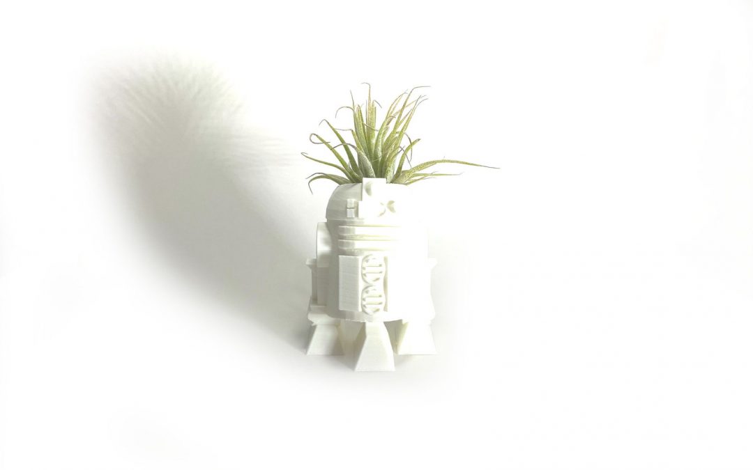 New Star Wars R2-D2 Air Plant Display Desk Planter Decor available now!