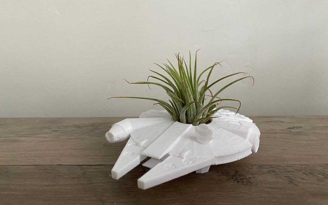 New Star Wars Millennium Falcon Air Plant Display Desk Planter available now!