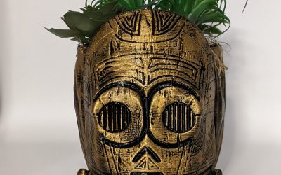 New Star Wars C-3PO Succulent Large Pot Planter available now!