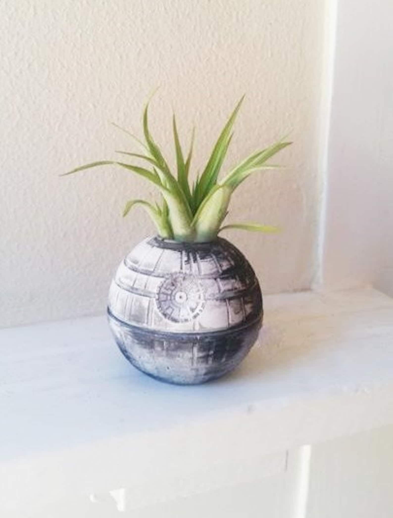 SW Death Star Plant Holder 1