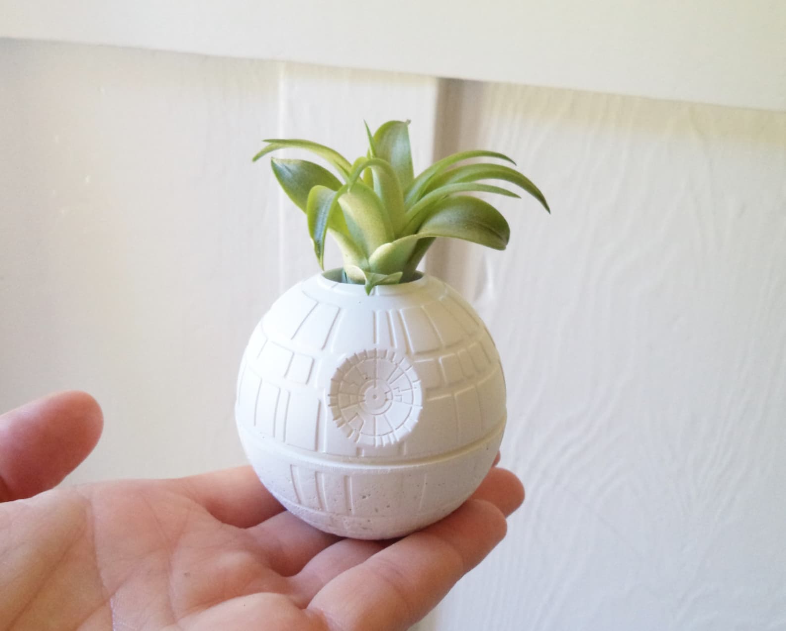 SW Death Star Plant Holder 3