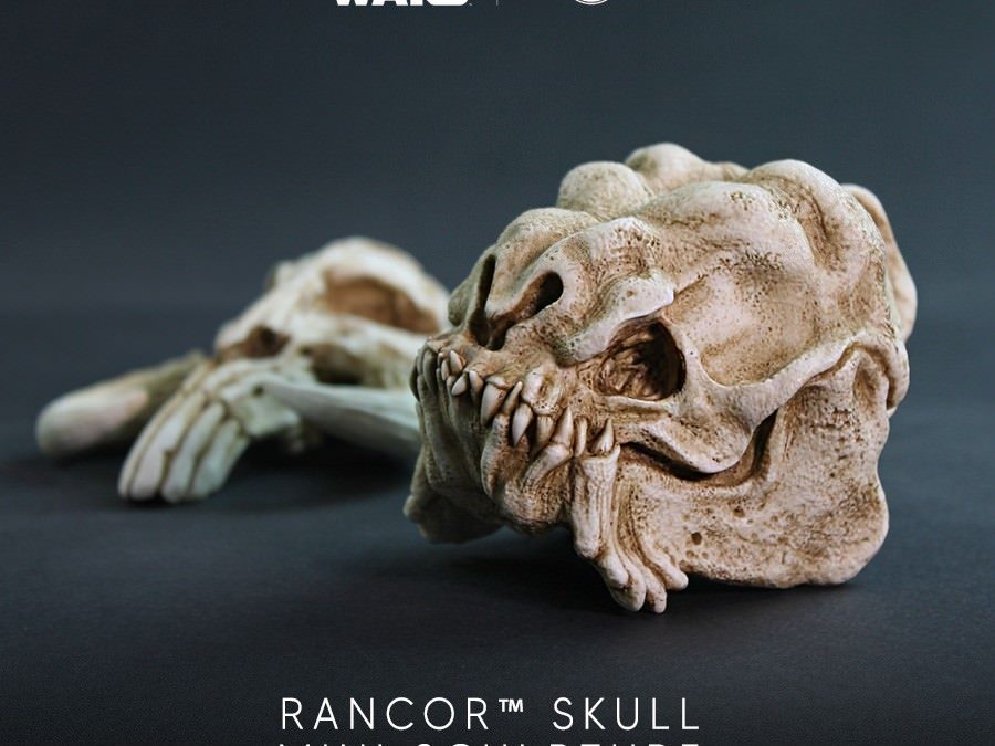 New Star Wars Rancor Skull Mini Sculpture available for pre-order!