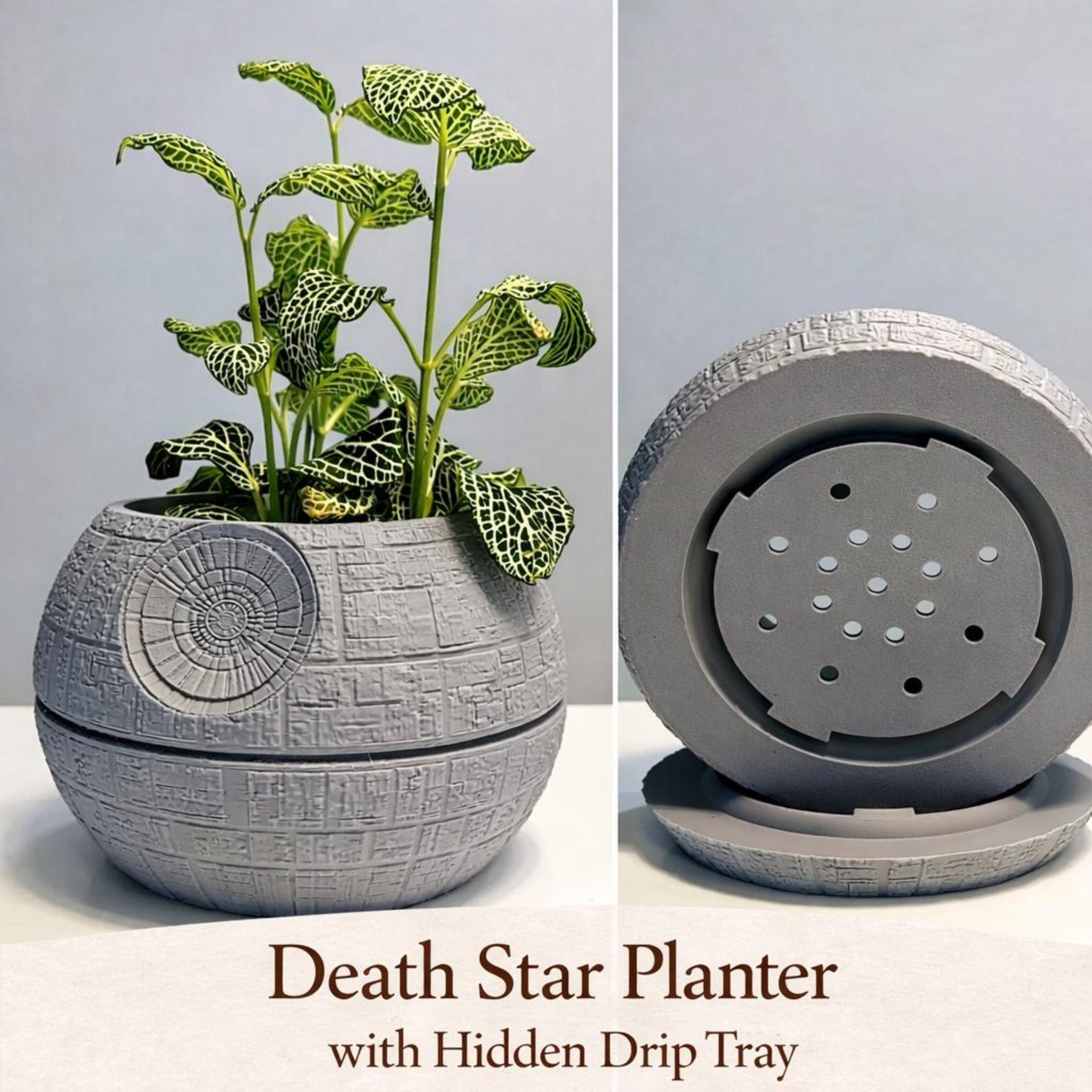 SW Inspired Death Star Planter (with Hidden Drip Tray) Decor 1