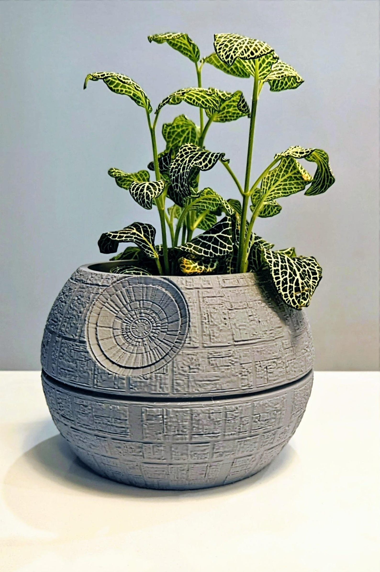 SW Inspired Death Star Planter (with Hidden Drip Tray) Decor 2