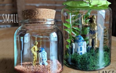 New Star Wars C-3PO and R2-D2 Tribute Miniature Terrarium Set available now!