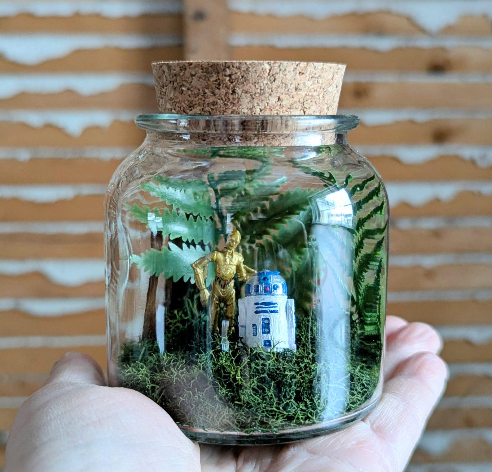 SW C-3PO and R2-D2 Tribute Miniature Terrarium Set 3