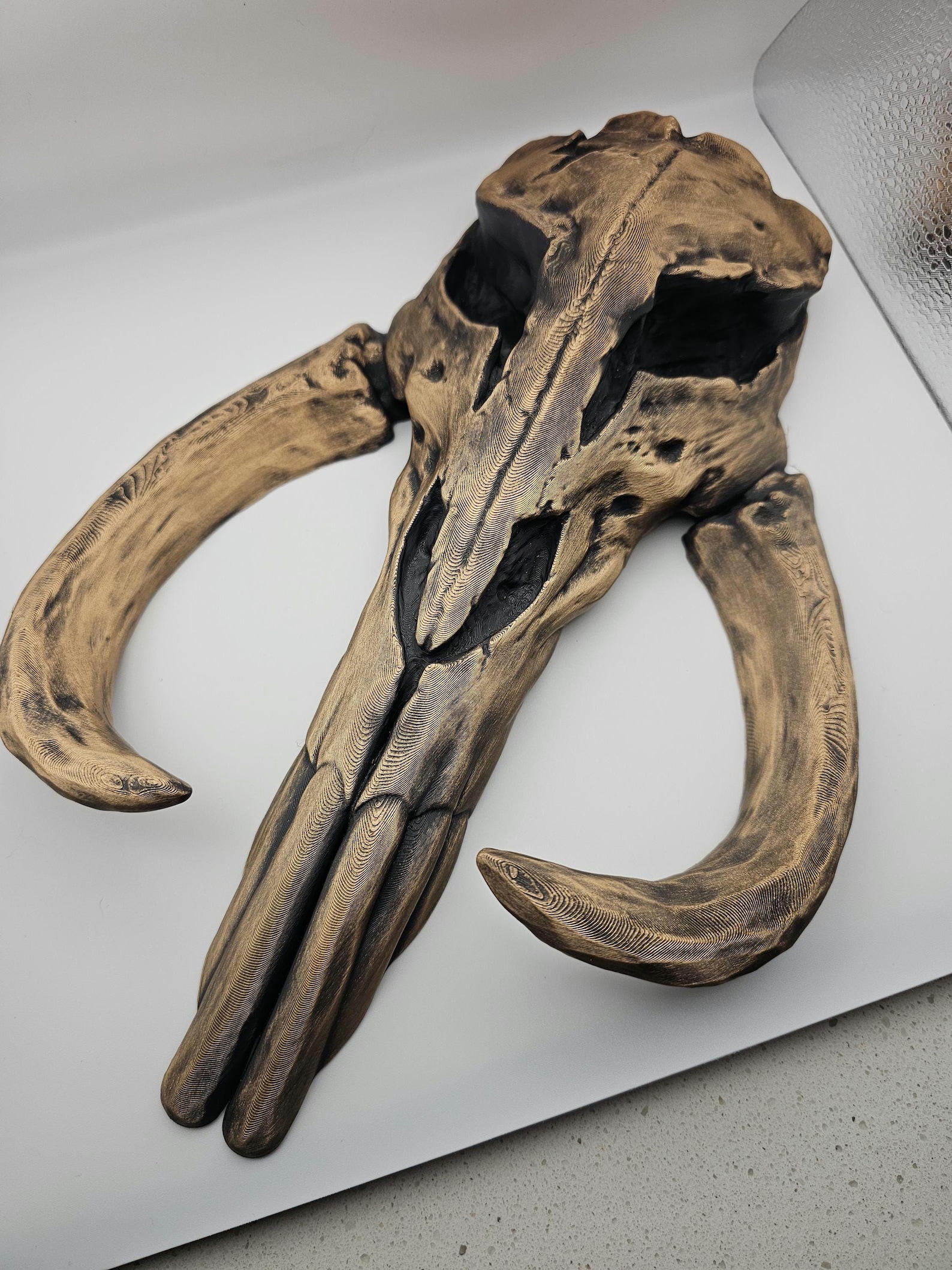 SW Inspired Metallic Finish Mythosaur Skull 3